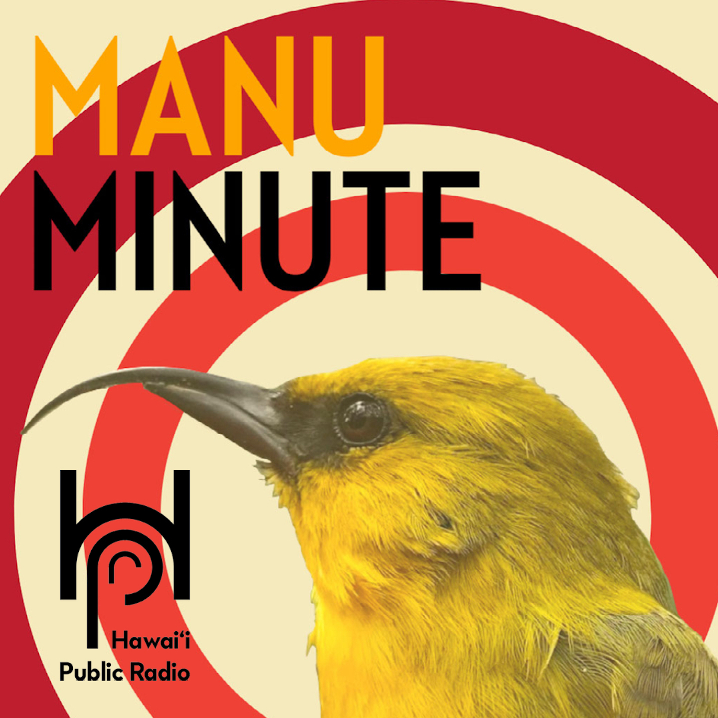 Manu Minute